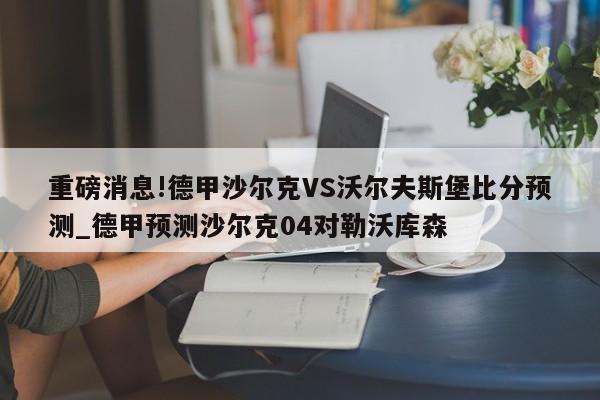 重磅消息!德甲沙尔克VS沃尔夫斯堡比分预测_德甲预测沙尔克04对勒沃库森